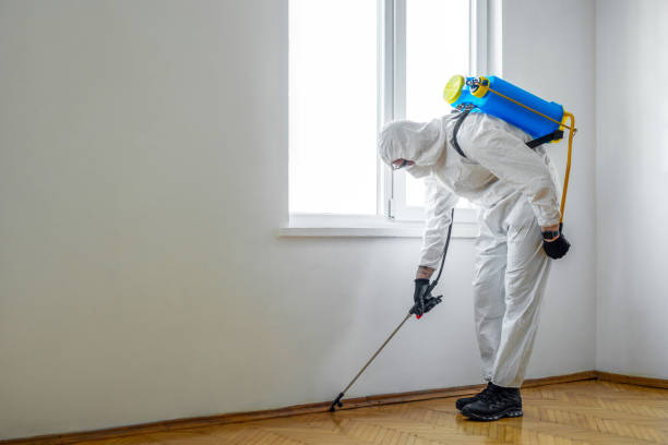 Pest Control for Hotels in Munford, TN